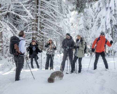 2025/02/images/tour_1843/snowshoeing-serbia-kopaonik-13-large.jpg