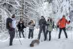 2025/02/images/tour_1843/snowshoeing-serbia-kopaonik-13-large.jpg