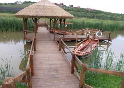 Mali Dunav, Smederevska tvrđava, manastir Rakovica