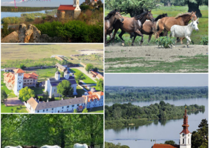 Vožnja brodićem do Krčedinske Ade (fakultativno), Stari Slankamen, manastir Kovilj