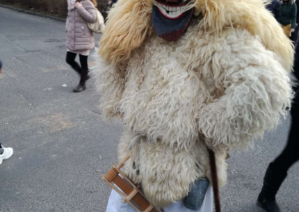 Povorka bušara u Mohaču i neobične crkve Baranje