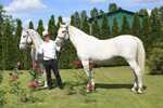 2025/10/images/tour_2024/img4570-large.jpg