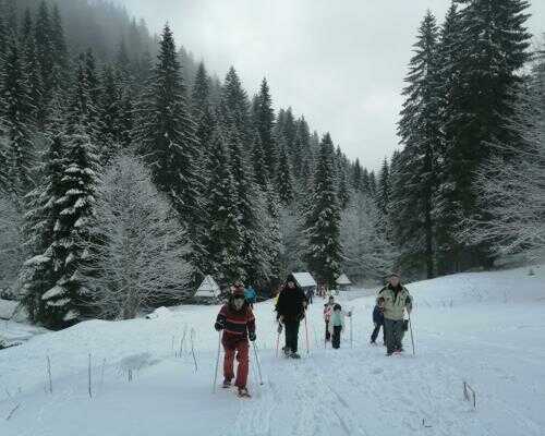 2025/02/images/tour_1843/snowshoeing-serbia-kopaonik-8-large.jpg